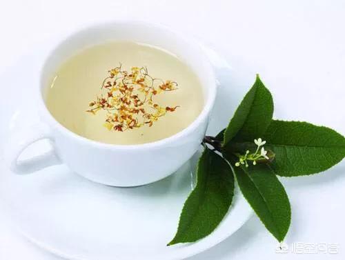 秋季花茶搭配大全功效和作用,在秋季，饮用什么花茶对健康有益？