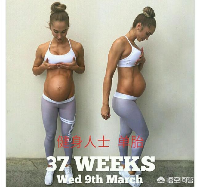 高圆圆孕肚照曝光:为什么有人怀孕的时候肚子大，而有人怀孕的时候肚子小？