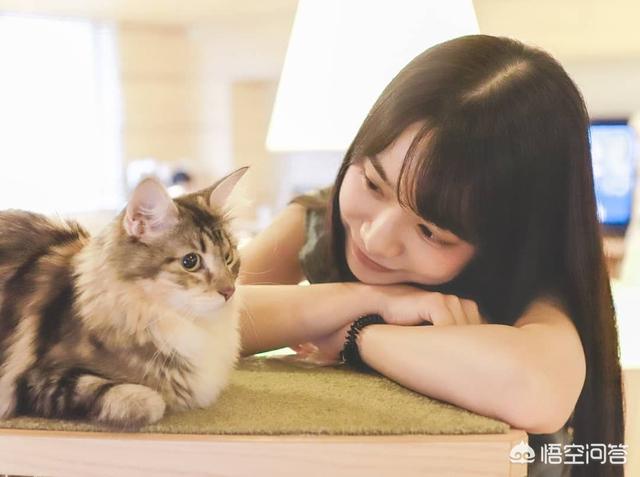 我做母狗的经历贞操带:封建贞操观念是怎样残害女人的？