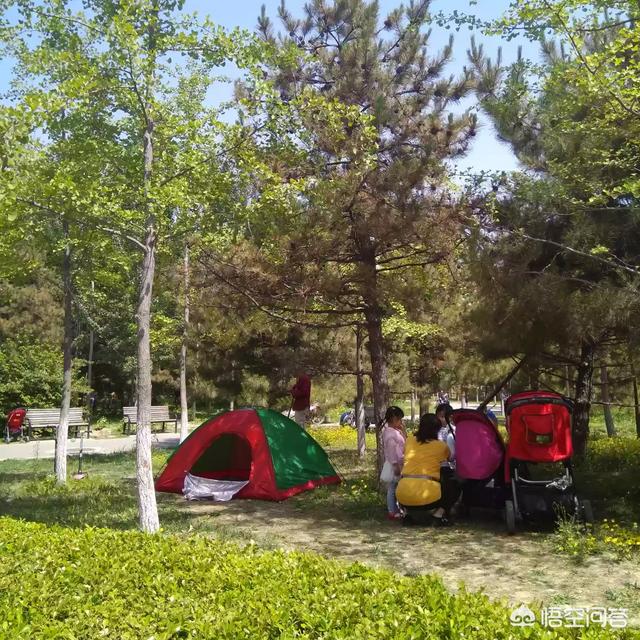 通州大运河森林公园开门吗:北京最值得六岁小朋友去的公园，有哪些好的推荐吗？