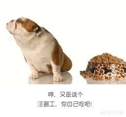 狗狗食欲不振:狗狗最近食欲没有以前好，都是什么原因呢？