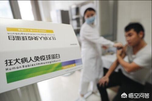 狂犬病的传播途径:狂犬病是怎么传染的，吃了得狂犬病的狗肉会感染吗？