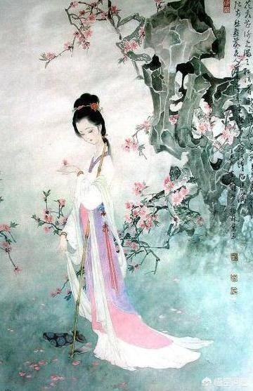 林家宅37:林家真的是比贾府富贵吗？