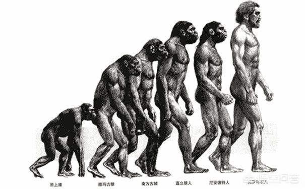 达尔文的进化论被推翻了吗？他说的到底对不对？