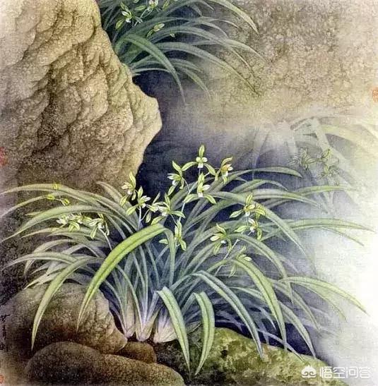该如何给“兰花”写诗？