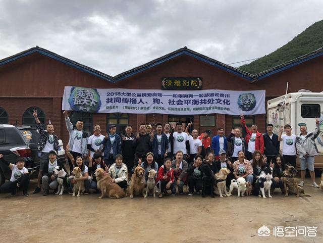 头条问答 如何带狗狗一起自驾游 训犬师祁玮的回答 0赞