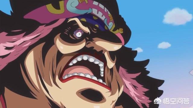 海贼王中70多岁的卡普真的能杀死赤犬吗你怎么看