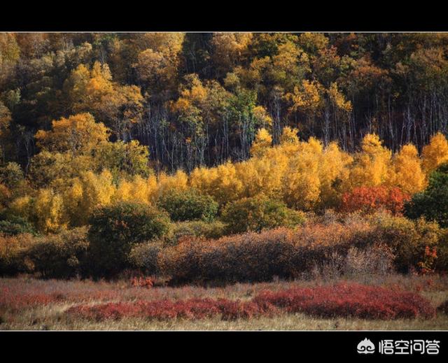 北京郊区<a href=https://maguai.com/list/52-0-0.html target=_blank class=infotextkey>旅游</a>:北京周边有哪些适合自驾游的地方？