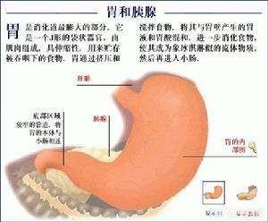 胰腺炎的症状是什么:患有胰腺炎，现已出院一个月，能吃些什么？