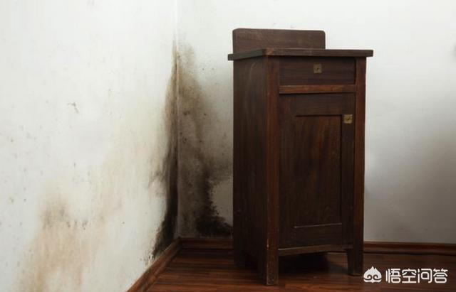 房间发霉怎么办？