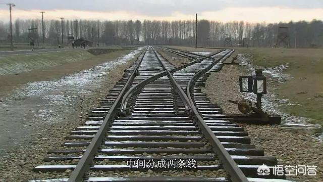 爱情重跑日剧:和《东京爱情故事》一样经典好看的日剧有哪些好的推荐？