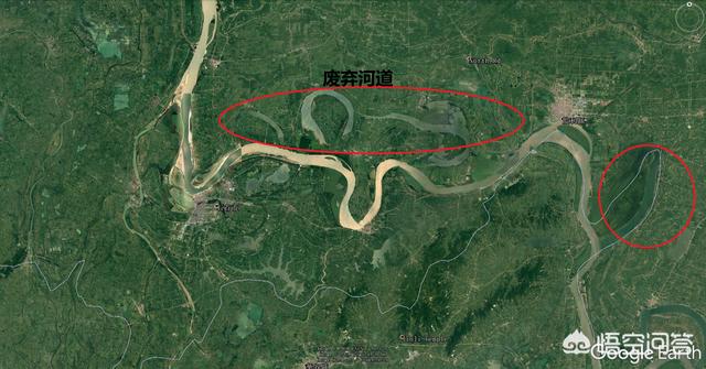 2019长江真龙万人围观，前几天出现的“三峡水怪”是什么，会是未知的生物吗