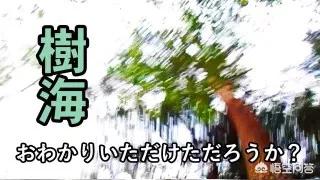 日本有个自杀森林，为什么那么多人去那里自杀？