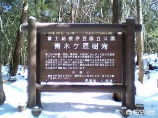 日本有个自杀森林，为什么那么多人去那里自杀？