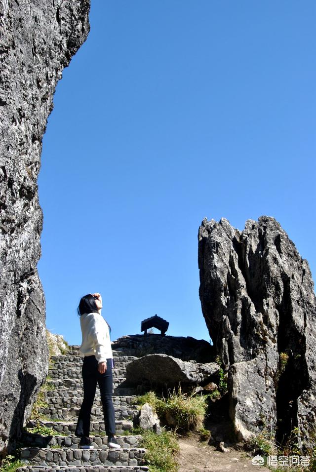 神农架穿越死了多少人，神农架发现“驴头狼”，早已灭绝50万年的生物，为何又突然出现