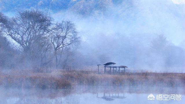 张家界野人:张家界和神农架相比，哪里更好玩？