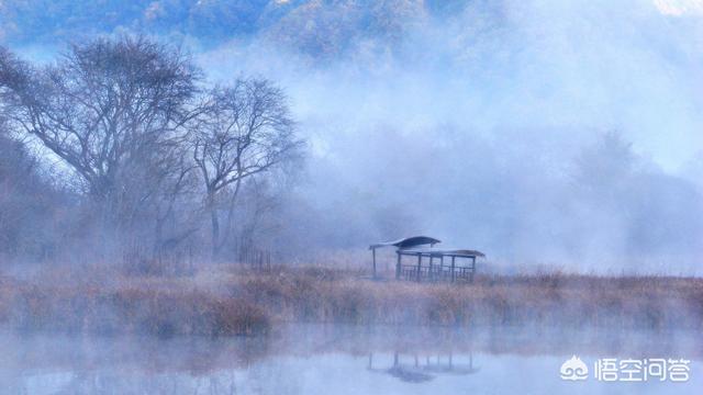 神农架穿越死了多少人，张家界和神农架相比，哪里更好玩