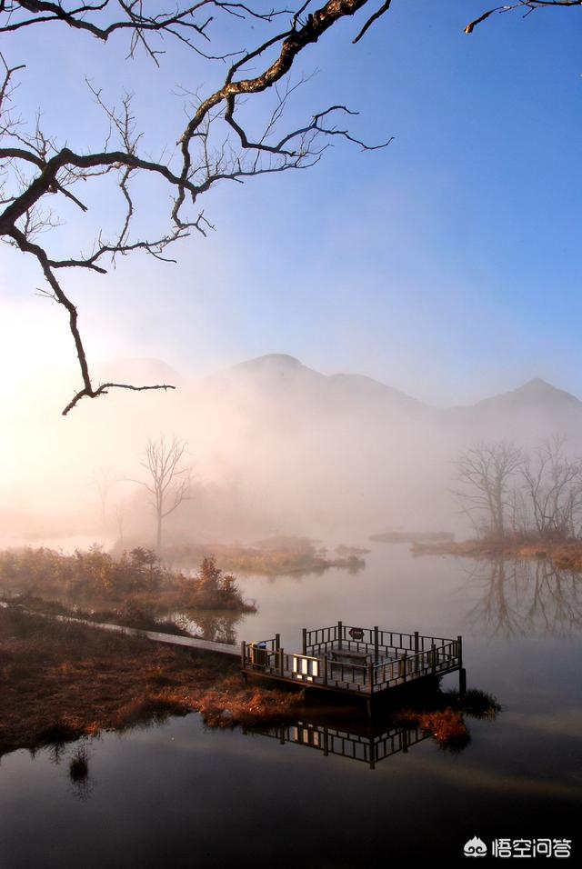 神农架穿越死了多少人，神农架发现“驴头狼”，早已灭绝50万年的生物，为何又突然出现