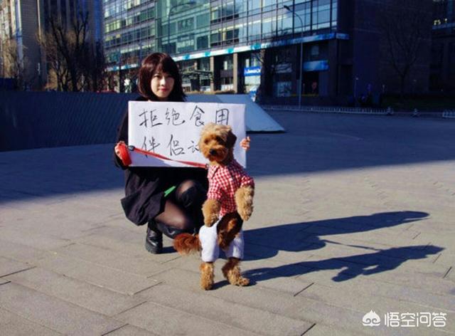 玉林狗肉节英语辩论:今年是狗年，玉林狗肉节会进行吗？