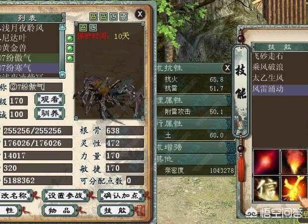 大话西游宠物个性名字:《大话西游2》这款游戏中，你带过最个性的召唤兽是什么？