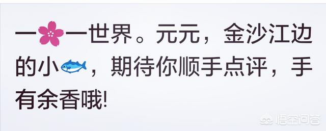 阿q精神:为什么生活总需要点阿Q精神？
