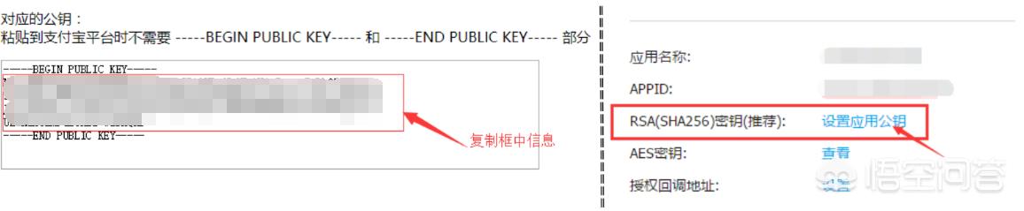 当面付,支付宝当面付的参数如何填写？