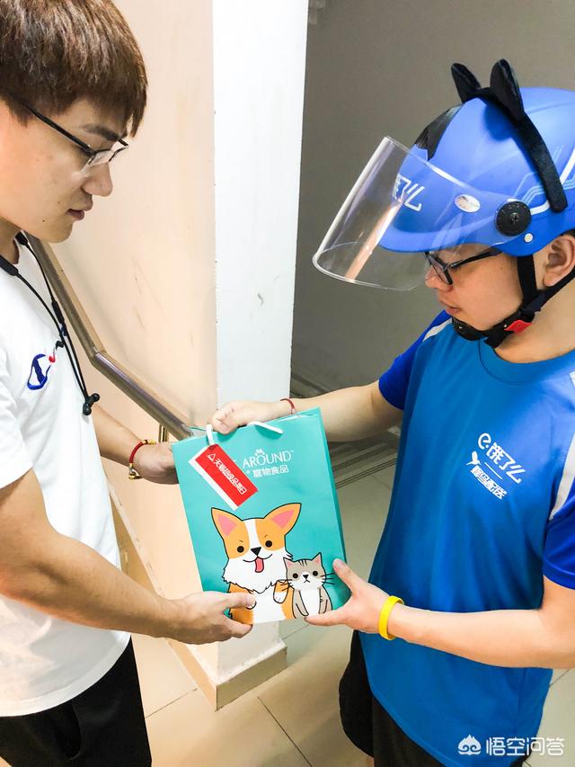 宠物服务:你觉得同城宠物运输公司专门上门送狗粮且接送宠物的服务怎么样？