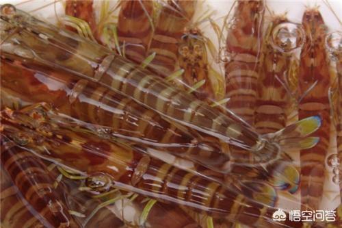 大虾里面有寄生虫不能吃？，基围虾有寄生虫，该怎么办？