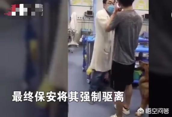 广西宠物专家:广西宠物市场 广西南宁男子凌晨闯医院医闹，威胁医生为其医治狗，你怎么看？