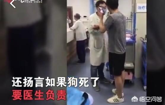 广西宠物专家:广西宠物市场 广西南宁男子凌晨闯医院医闹，威胁医生为其医治狗，你怎么看？