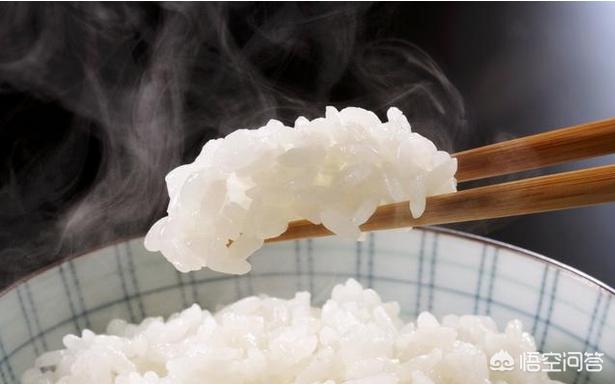 小鱼吃吃:泰迪犬除了吃狗粮，还能吃哪些食物？