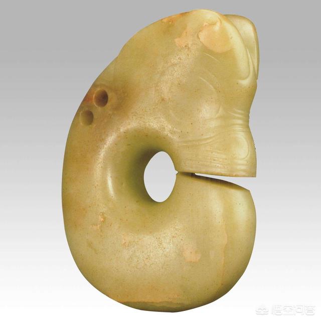 恐龙化石是怎样形成的(恐龙化石是怎样形成的读后感)