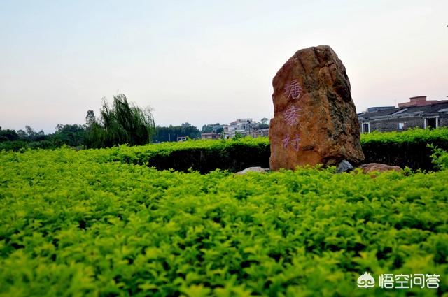 广东冰雹:为什么有些南方地区会下冰雹？