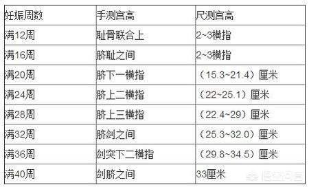 胚胎发育过程图:人体胚胎发育过程是什么样子的？