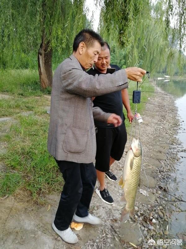 猫用尾巴钓鱼故事视频:用蚯蚓在池塘钓鱼，小鱼一直闹怎么办？