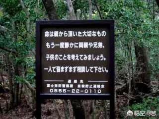 日本有个自杀森林，为什么那么多人去那里自杀？