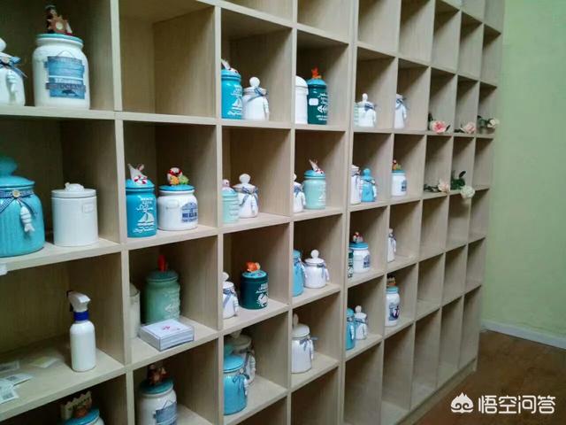 宠物去世后你会以何种方式处理呢？插图25