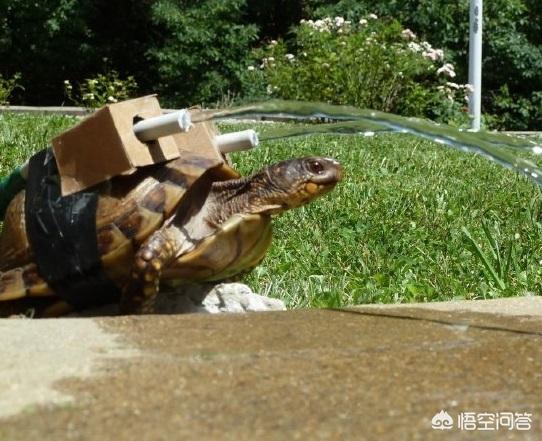 最简单的cosplay是怎样的呢？插图80