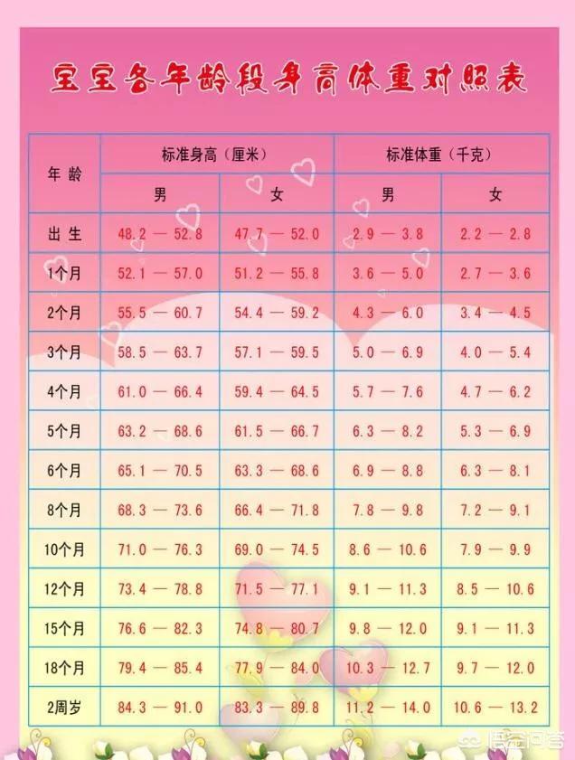 (12个回答)