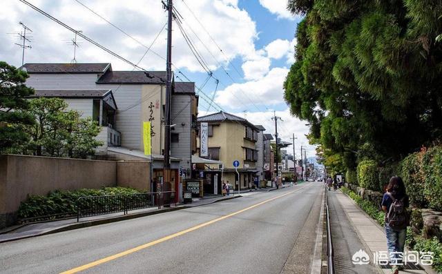 日本街头自动洗狗机:日本的街头真的很干净吗？