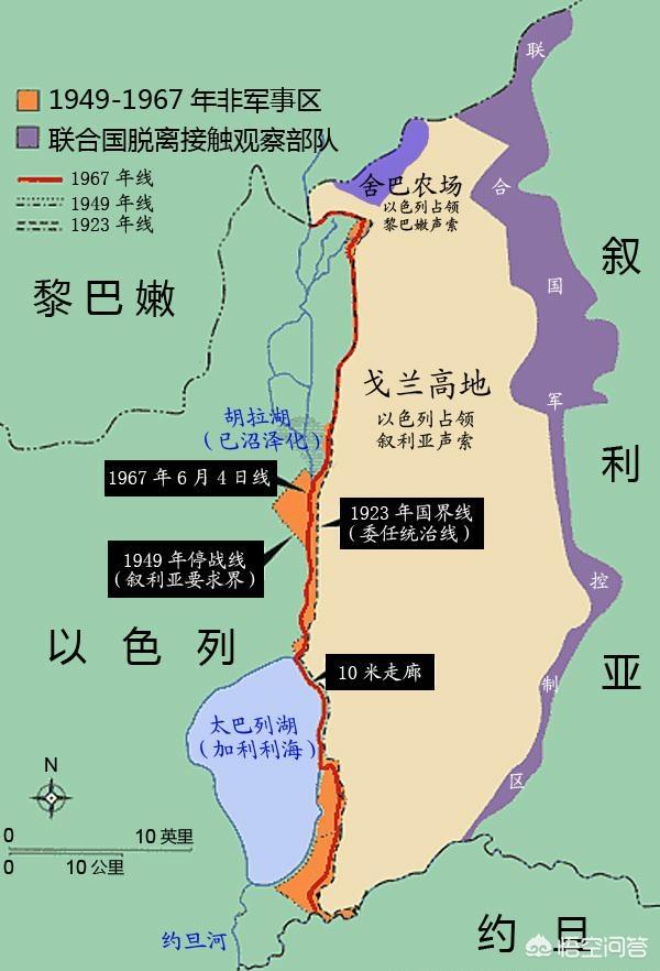 西高地领养:领养流浪猫要求必须喂40元以上进口猫粮合适吗？