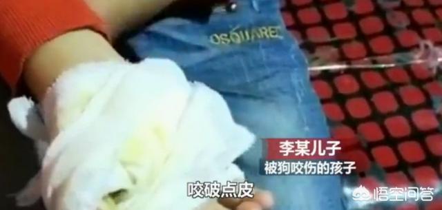农安细狗咬狗视频:泰迪犬把人咬了，男子活活把狗烧死，对此事你怎么看？