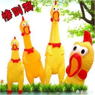 狗狗用品大全:有哪些结实的狗狗玩具类用品推荐吗？