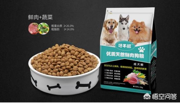 金毛犬的饲养和训练:怎么训练金毛？什么时候训练最好？