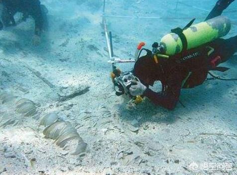 为什么电视鉴宝节目中有些古董不会被国家收回，可以买卖？为什么有些刚发现的就被国家收回？插图7