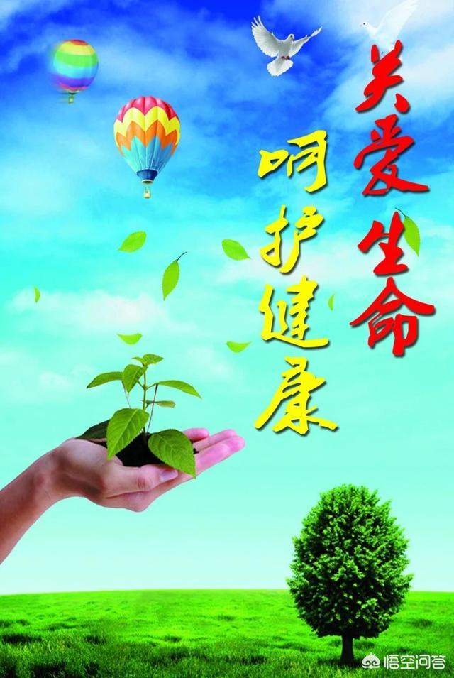 舌头胖大有齿痕，需要怎么调理？插图35