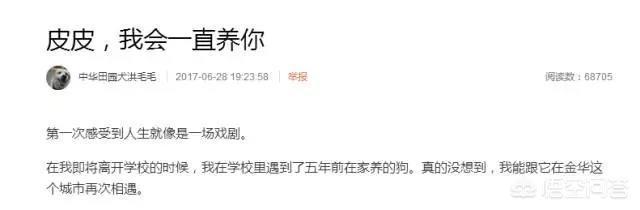 人和狗分开之后，狗狗还会记得以前的主人吗？插图47