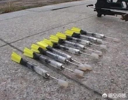 偷狗贼怎么打狗:农村冬天偷狗贼很猖狂，该如何避免自家狗被偷呢？