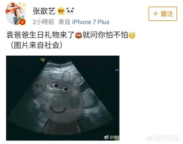 张歆艺与杨树鹏:娱乐圈中有哪些不离不弃的明星夫妻，让人感动？