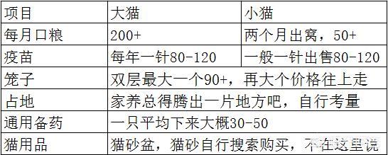 养猫论坛:家庭繁殖猫的副业怎么做，前景如何？